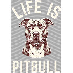 Animal Text Series-AT 3584